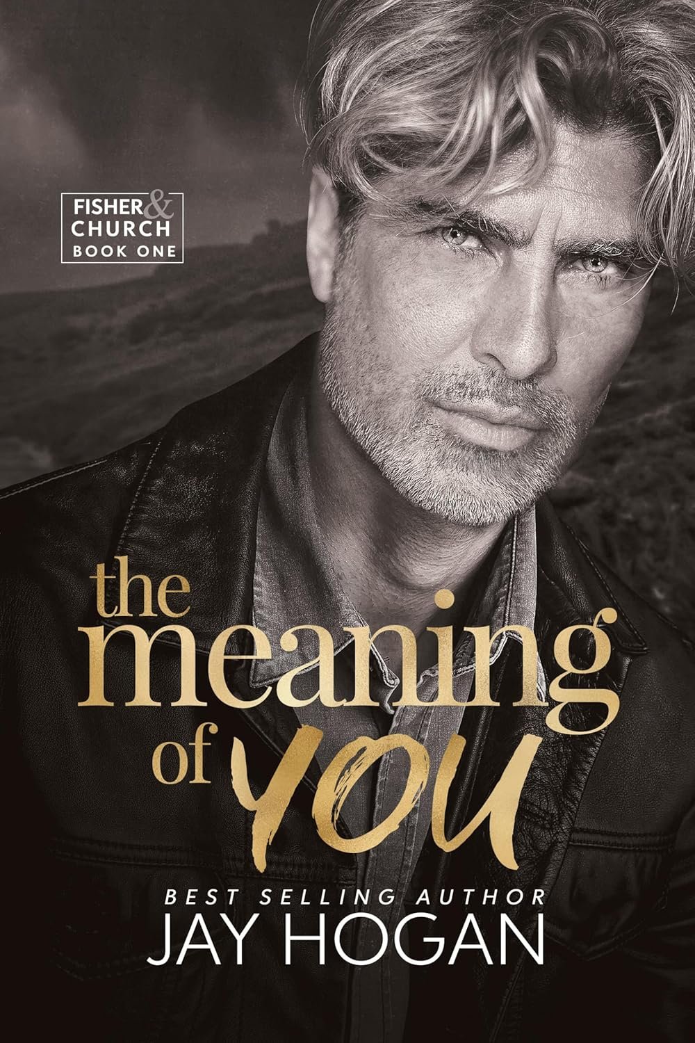 Blook Cover - The Meaning Of You