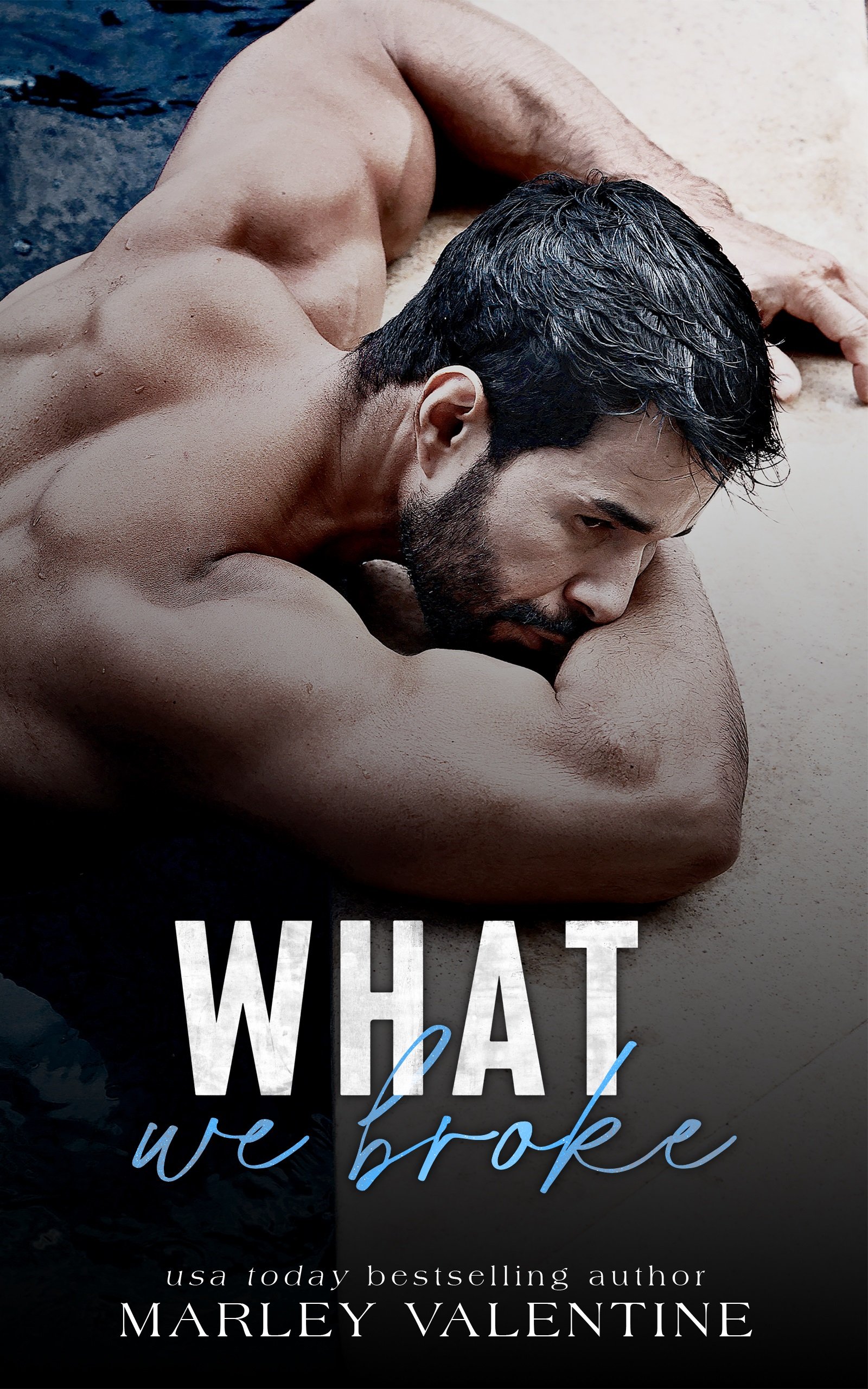 Book Cover - What We Broke